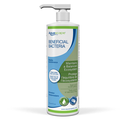 Beneficial Bacteria for Ponds (Liquid) - 16 oz